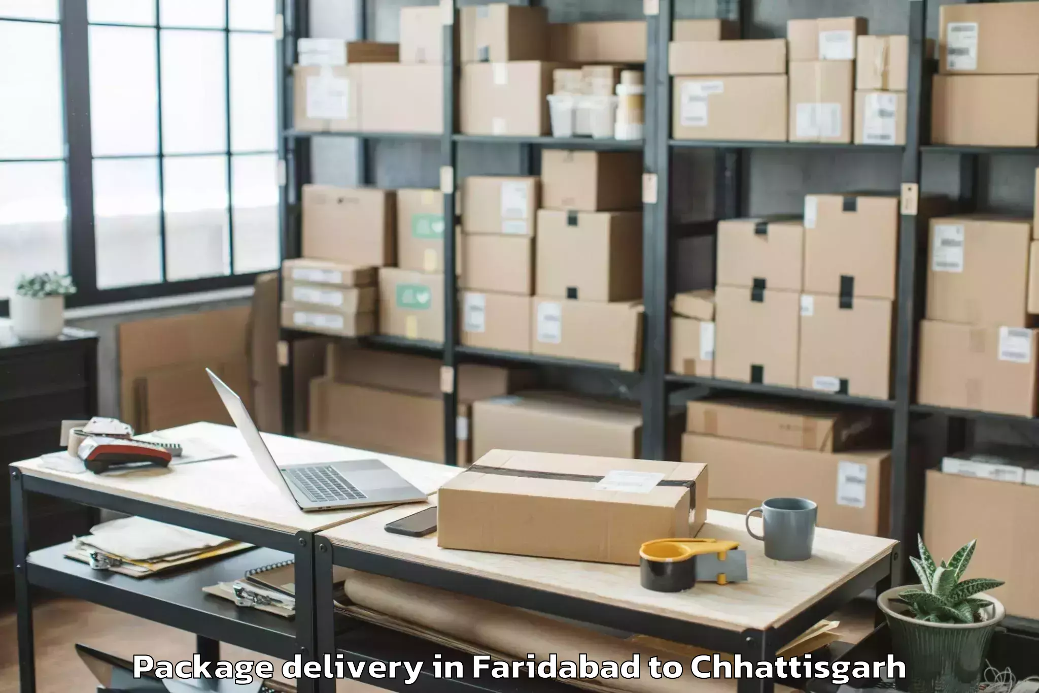 Expert Faridabad to Dabhra Package Delivery